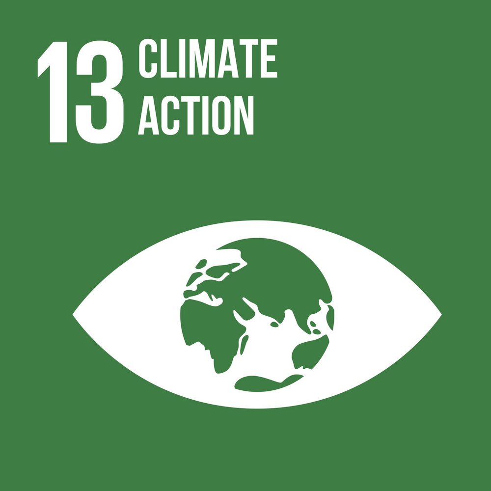 The United Nations SDG icon for Climate Action, Goal 13, featuring an image of the Earth within an eye, symbolizing vigilance and awareness against climate change on a green background.